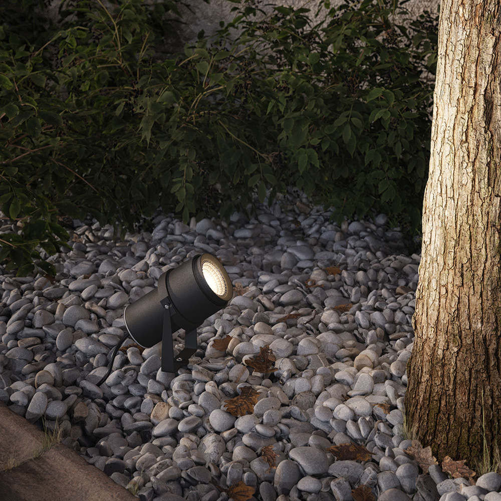 Garden_Tree_Scene_1_Colpi