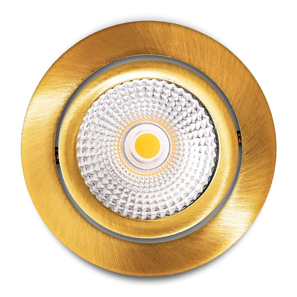Vivaro-GOUD_05