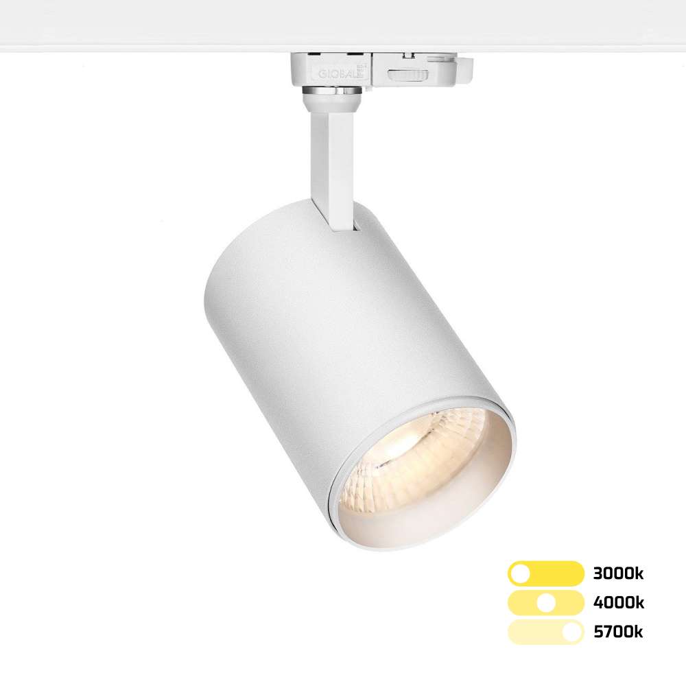 2024_Lumina-WIT-tri_color