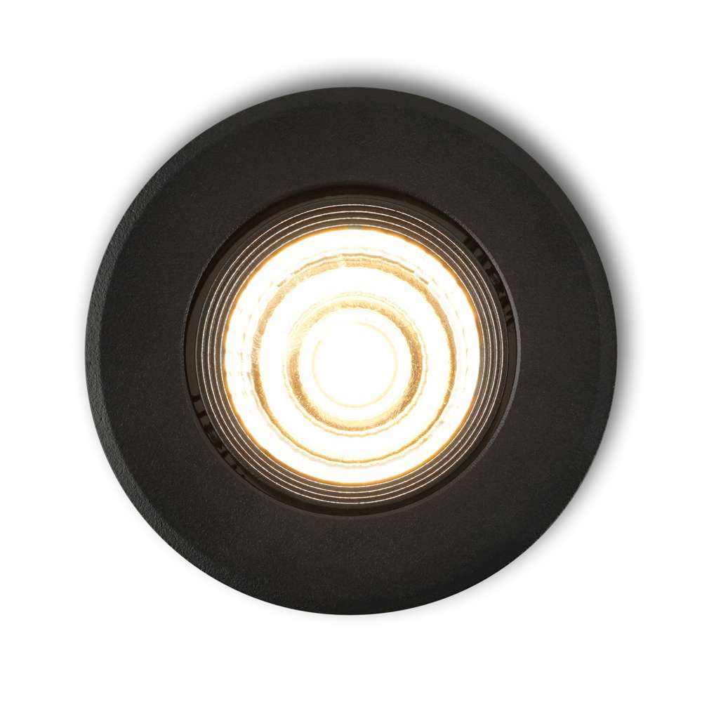 Fioli_zwa_top_lighton_25